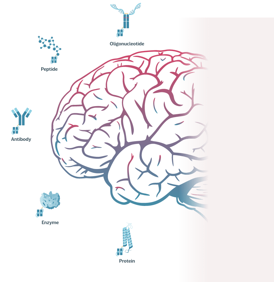 The MODEL platform: <br>Engineered for high-precision CNS delivery